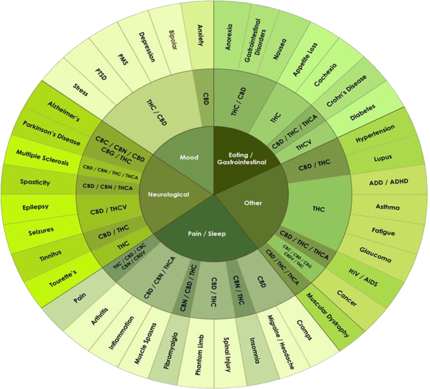 qualified medical condition for medical marijuana
