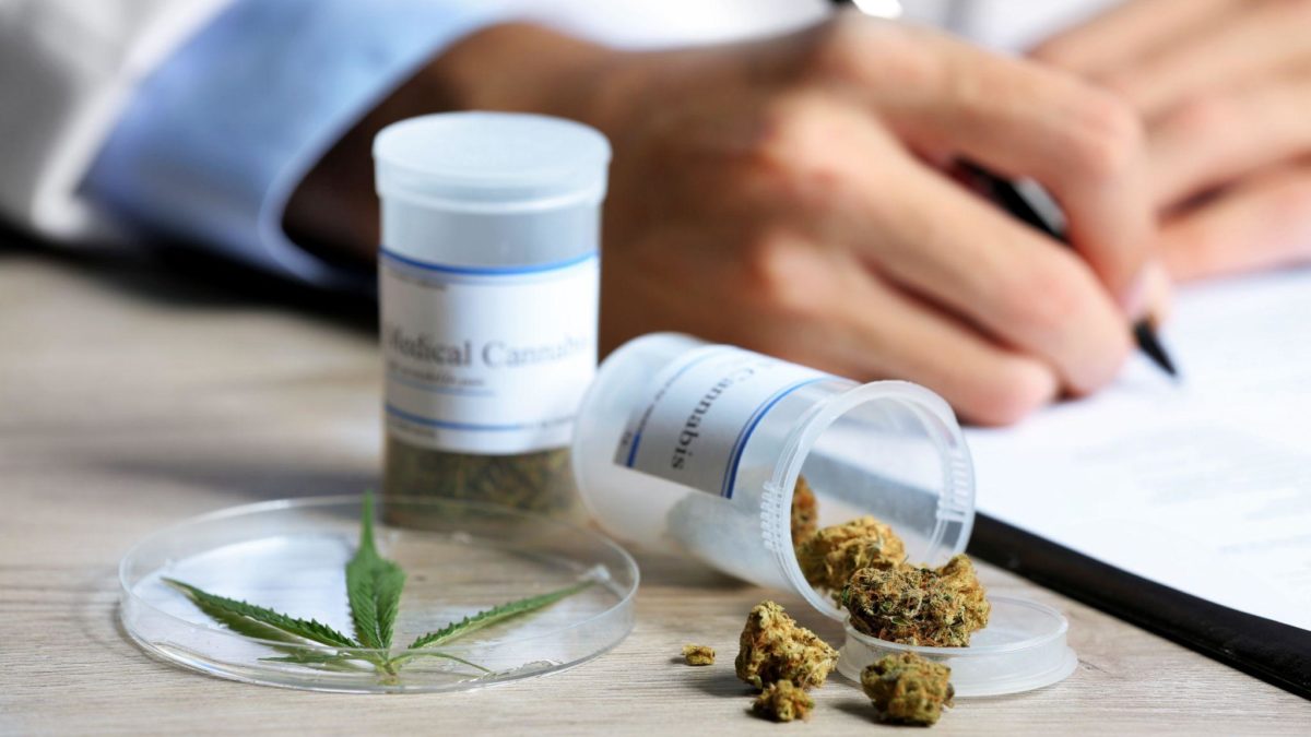 What To Look For In A Medical Marijuana Doctor