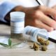 What To Look For In A Medical Marijuana Doctor