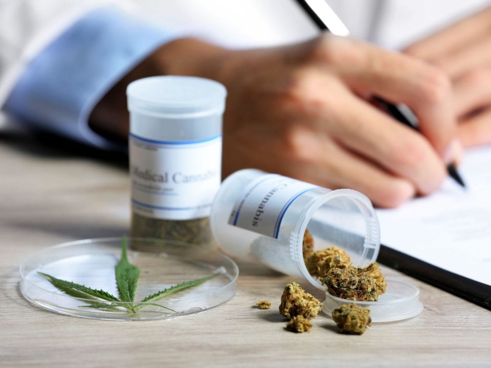 What To Look For In A Medical Marijuana Doctor