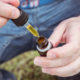The Science Behind CBD: How Cannabidiol Interacts with the Endocannabinoid System