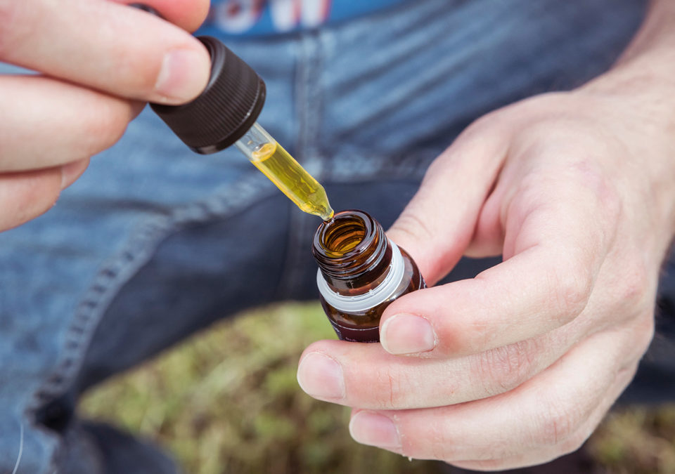 The Science Behind CBD: How Cannabidiol Interacts with the Endocannabinoid System