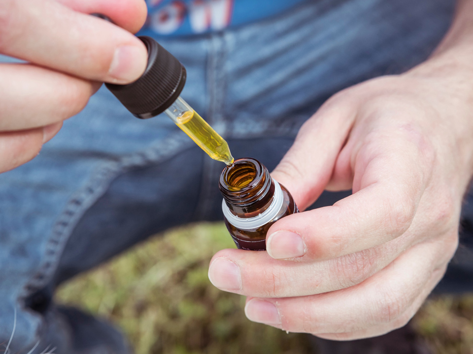 The Science Behind CBD: How Cannabidiol Interacts with the Endocannabinoid System